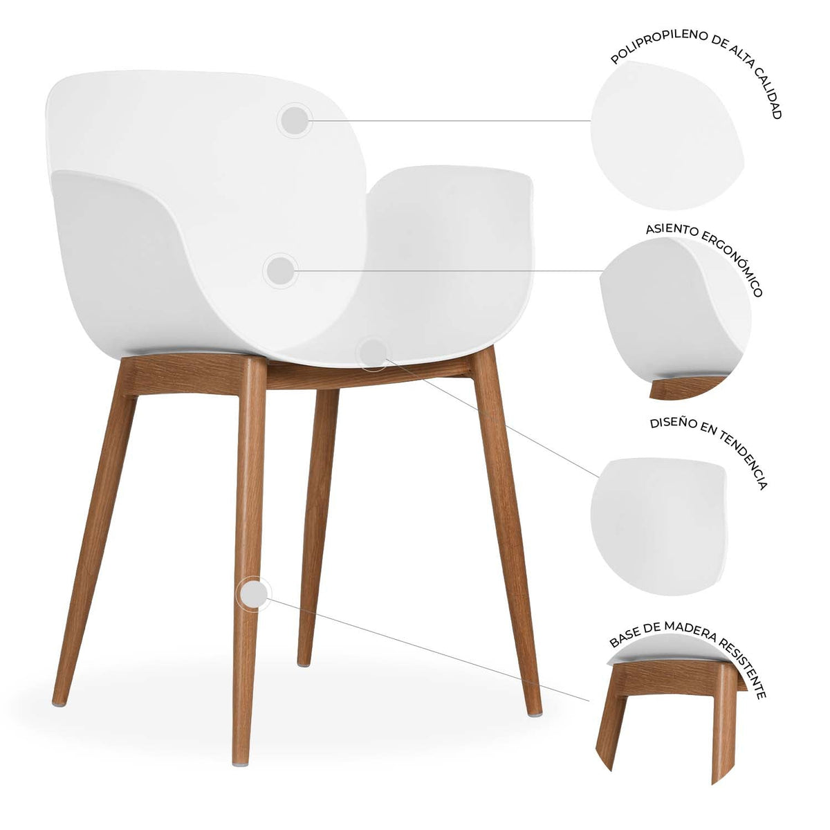 Silla Mantova